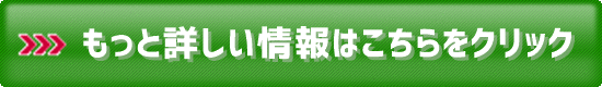 日産デイズ 中古車一括査定販売サイトへ